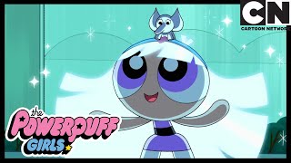 Powerpuff Girls  Bliss Powers  Cartoon Network [upl. by Ritter]