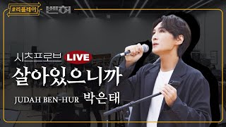 리플레이벤허 시츠프로브 LIVE 살아있으니까  박은태 [upl. by Virgilia]