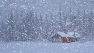 Schneesturm Ertönt Im Schlaf – Heulender Wind  Schneesturmgeräusche Helfen Beim Tiefschlafen [upl. by Ahsiekyt]