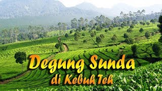 Suling Degung Sunda Merdu di Kebun Teh [upl. by Matthews719]