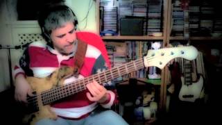 Più su by Renato Zero personal bassline by Rino Conteduca with Elrick bass NJS5 custom [upl. by Olmstead]