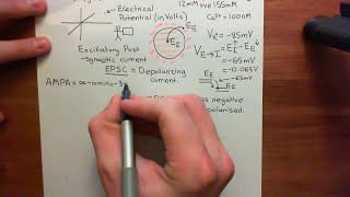 Ionotropic Glutamate Receptors Part 3 [upl. by Jaela448]