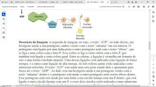 O ATP Adenosina Trifosfato é descrito como uma “moeda energética” por ser a molécula que fornece [upl. by Oderfigis249]