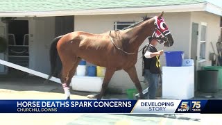 Horse deaths ahead of Kentucky Derby spark concerns [upl. by Inalaeham]