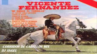 VICENTE FERNANDEZ CORRIDOS DE CABALLOS MIX [upl. by Jenelle]