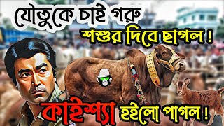 Kaissa Funny EID Cow Drama  কাইশ্যা ঈদের গরু কাহিনী  Bangla New Comedy Drama [upl. by Craig956]