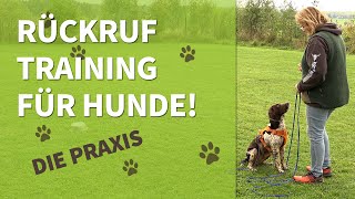 Rückruftraining für Hunde ➡️ Die Praxis ✔️ [upl. by Rogerio]