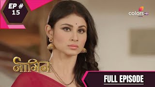 Naagin  Season 1  नागिन  Episode 15 [upl. by Okikuy]