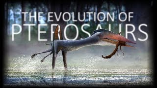 The Evolution of Pterosaurs [upl. by Hendrix]