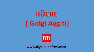 HÜCRE  10  Golgi Aygıtı [upl. by Beasley272]