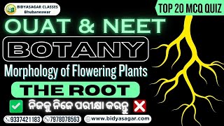 Morphology of Flowering Plants MCQ  The Root MCQ  NEET Biology MCQ  OUAT Biology Questions [upl. by Aisel]