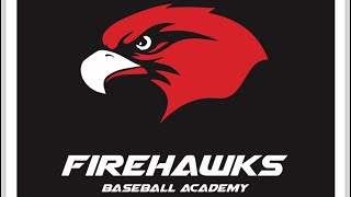 12u Firehawks 12 PJ Castro Homerun 30923 [upl. by Enyawed]