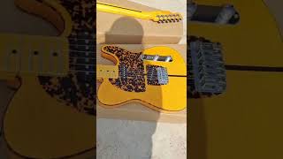 Prince HS Anderson amp Hohner Madcat Mad Cat Tele Amber Yellow Flame Maple Top Electric Guitar Leopard [upl. by Gruber]