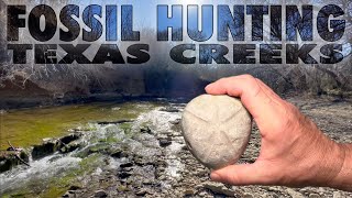 Fossil Hunting North Texas Creeks  Feb  2023 [upl. by Secunda]