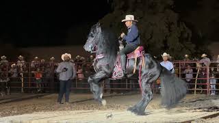 🏆CABALLOS BAILADORES EN LA CIENEGA DE CASAL 2023 [upl. by Takakura483]