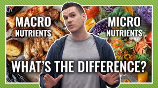 Macronutrients vs Micronutrients Whats Most Important When Dieting [upl. by Pogah]