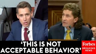 Thats A Pretty Big Deal Josh Hawley Lights Into DHS Official Over Censorship Of Americans [upl. by Eilzel]