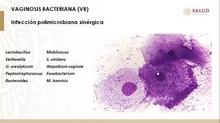 Curso Bacteriología Médica Aula Virtual Gardnerella vaginalis [upl. by Earb442]