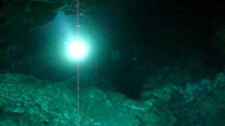 Brightstar Darkbuster 21W HID Spot light version Diving in Thailand Part 3 [upl. by Fu]