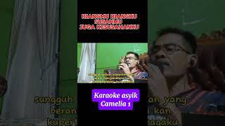 karaoke dangdut Kamelia shorts [upl. by Aicirtan]