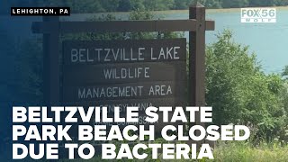 Beltzville State Park beach closed due to bacteria [upl. by Sunday]