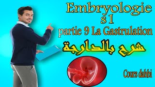 Embryologie s1  partie 9  La Gastrulation  شرح بالدارجة [upl. by Atok649]