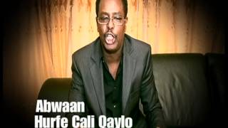 Gabay Dardaaranka siyaasi Soomaali ah by Hurfe Cali Qaylo [upl. by Humble672]