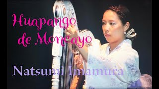 Huapango de Moncayo：Natsumi Imamura [upl. by Pacificas]