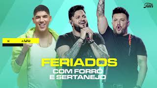 Feriado com Forró e Sertanejo  3 Horas de Forró e Sertanejo [upl. by Hun]