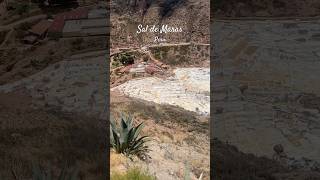 Come with me to the Salineras de Maras in peru travelvlog salt saltmine [upl. by Lemire437]