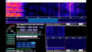 MW DX WENE Endicott 1430 kHz received in Germany [upl. by Weaver]