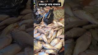 বাজার করলাম fish fishlover fishing everyone youtubeshorts youtube [upl. by Balsam]