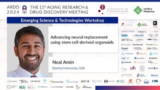 Neal Amin at ARDD2024 Advancing neural replacement using stem cellderived organoids [upl. by Hplodur349]