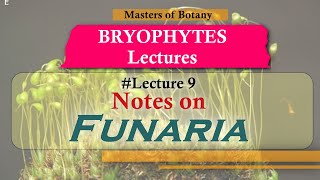 Lecture 9  Funaria Life Cycle Important Bryophytes  Bryophyta Lecture Notes [upl. by Laurena]