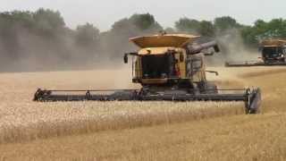 CAT 595R Lexion Combine [upl. by Weigle]