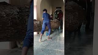 sabarinathan tree cutter pattukkottai vahai maram cutting [upl. by Irami997]