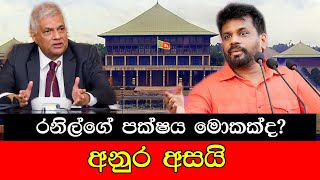 mojonewslk රනිල්ගේ පක්ෂය මොකක්ද අනුර අසයි [upl. by Emina]