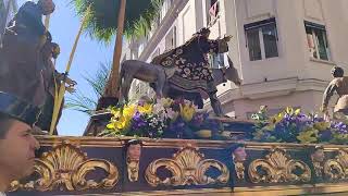 EN DIRECTO Procesión de las Palmas Semana Santa de Valladolid 2023 [upl. by Brod775]