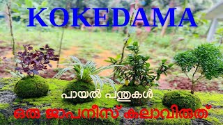 NSS KOKEDAMA MAKING  NSS VPKMMHSS PUTHUR PALLIKKAL [upl. by Meggy]