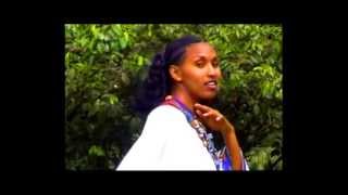 Ethiopian Amharic MusicGenet Masresha wollo [upl. by Caylor]