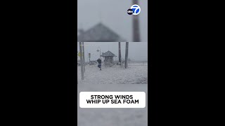 Strong winds whip up sea foam in Santa Cruz [upl. by Rovaert462]