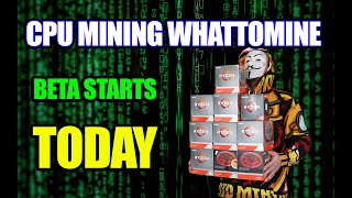 CPU MINING WHATTOMINE BETA  CPU Profit Calculator [upl. by Hump402]