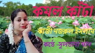 কমল কাঁটা কাজী নজরুল ইসলাম বাংলা কবিতা audio poetry sultanakhan [upl. by Nalehp]