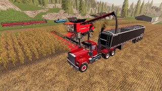 Harvest day on the 1000000 Farm  Buying pigs and more  Suits to boots 5  Farming simulator 19 [upl. by Nylodnew]