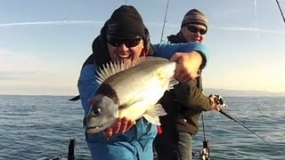 Wainui Coast Wellington  Winter Tarakihi Fishing [upl. by Nojram]