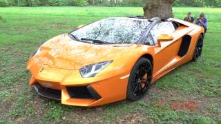 Lamborghini Aventador Roadster  acccelerations drivebys [upl. by Solange541]