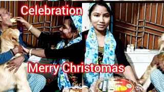 হঠাৎ করে এতো আনন্দ মুহূর্ত পেলাম 😭 💃🎻Merry Christmas 🎂🎂🎂🍫Celebration of Merry Christmas ❤️❤️ [upl. by Sylvanus640]