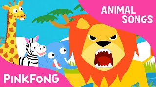 Hakuna matata  Animal Songs  PINKFONG Songs for Children [upl. by Yecaj]