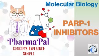 PARP1 Inhibitors ⚕️💊 [upl. by Kciredec219]