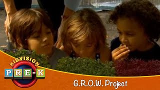 GROW Project  Virtual Field Trip  KidVision PreK [upl. by Congdon]